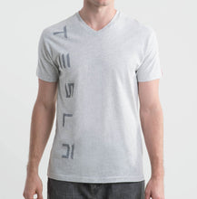 Load image into Gallery viewer, Men&#39;s Racing Stripe V-Neck
